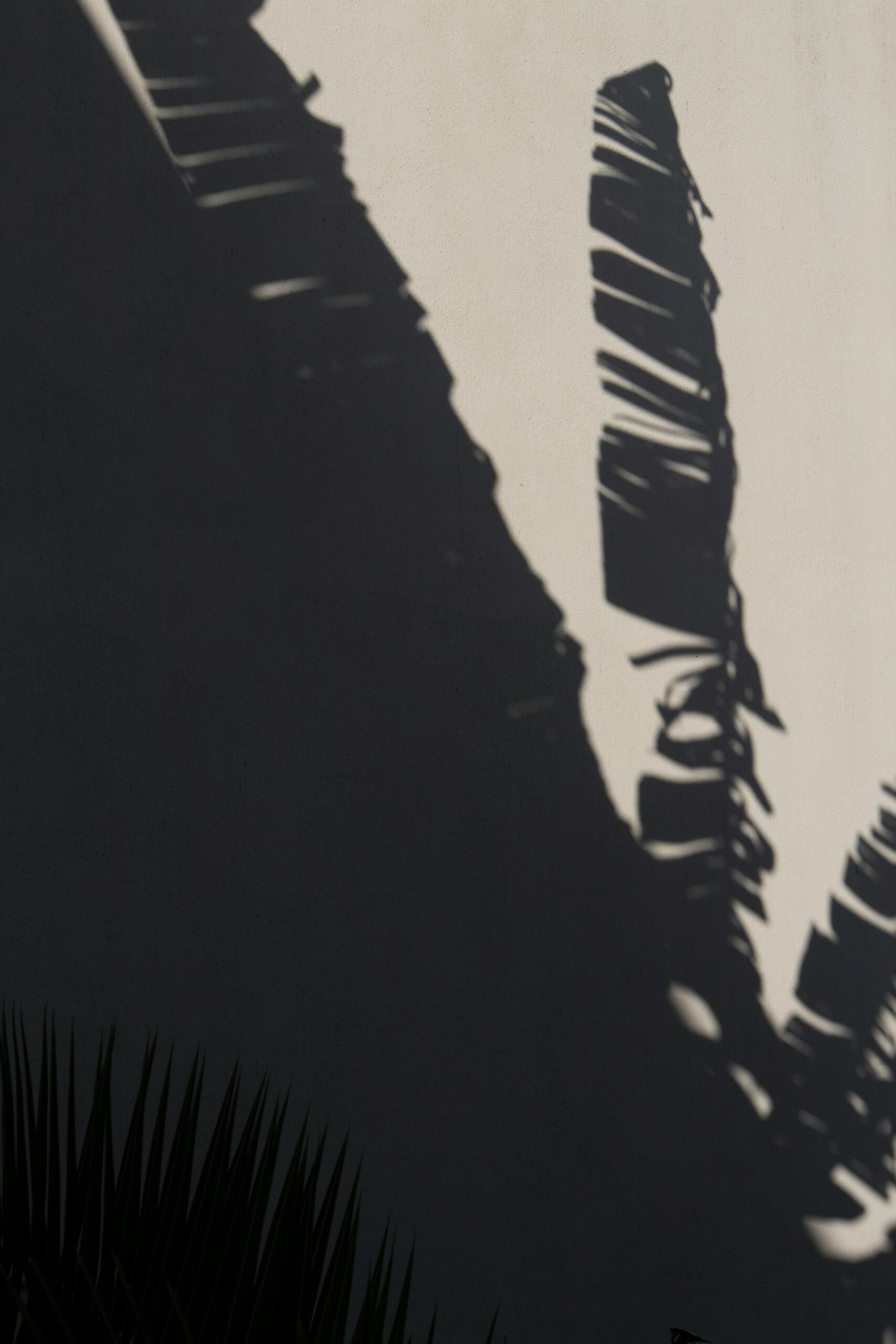 augustine-wong-KjutKKAHtsY-unsplash